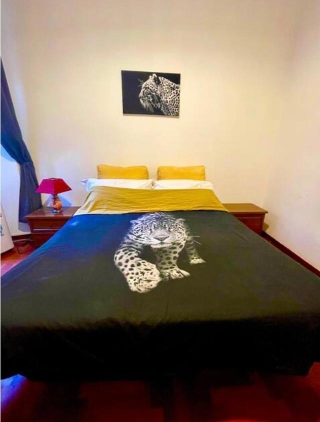 Parisa House Daire Roma Dış mekan fotoğraf